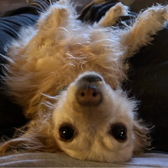 Enjoy your Life! - Picture 5 of 15